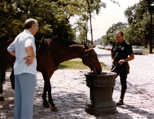 Horse Drinking Water