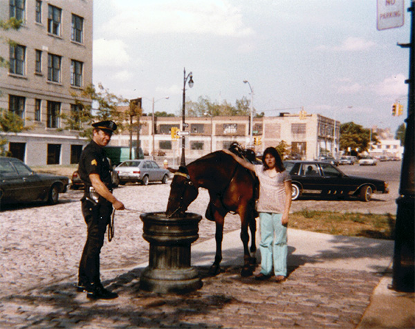 Office with horse drinking water